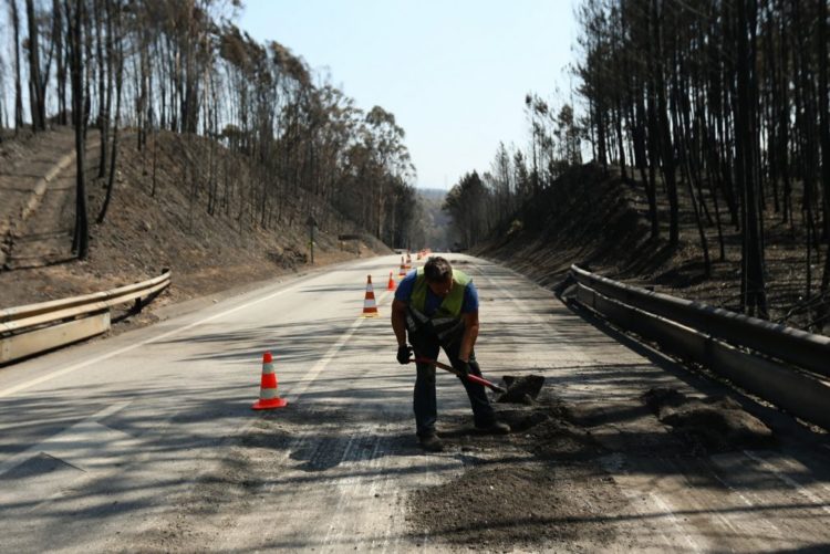 Resultado de imagem para Pedrógão: Seis meses depois, ainda há quem pergunte pela estrada 236-1