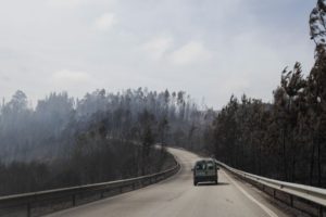 Relatório sobre incêndio de Pedrógão Grande questiona mudanças feitas na Proteção Civil