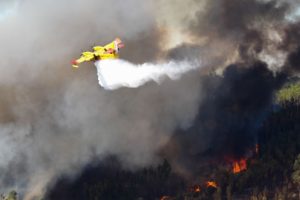 Última Hora | Número de mortos nos incêndios de domingo sobe para 41