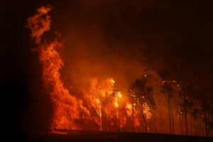 Como os incendiários ateiam o fogo nas florestas