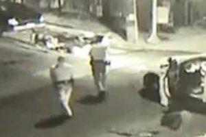 Polícia abate dois cães para salvar a vida de um homem [vídeo]