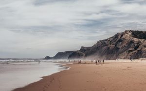 tubarão no Algarve