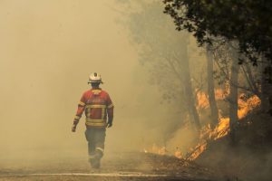 Incêndios: Fogo na Sertã mobiliza 100 bombeiros e nove meios aéreos