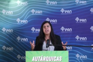 Autárquicas: PAN tentou convencer eleitores a não votarem "mais do mesmo"