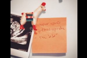 Bumba na Fofinha está grávida de três meses [vídeo e foto]