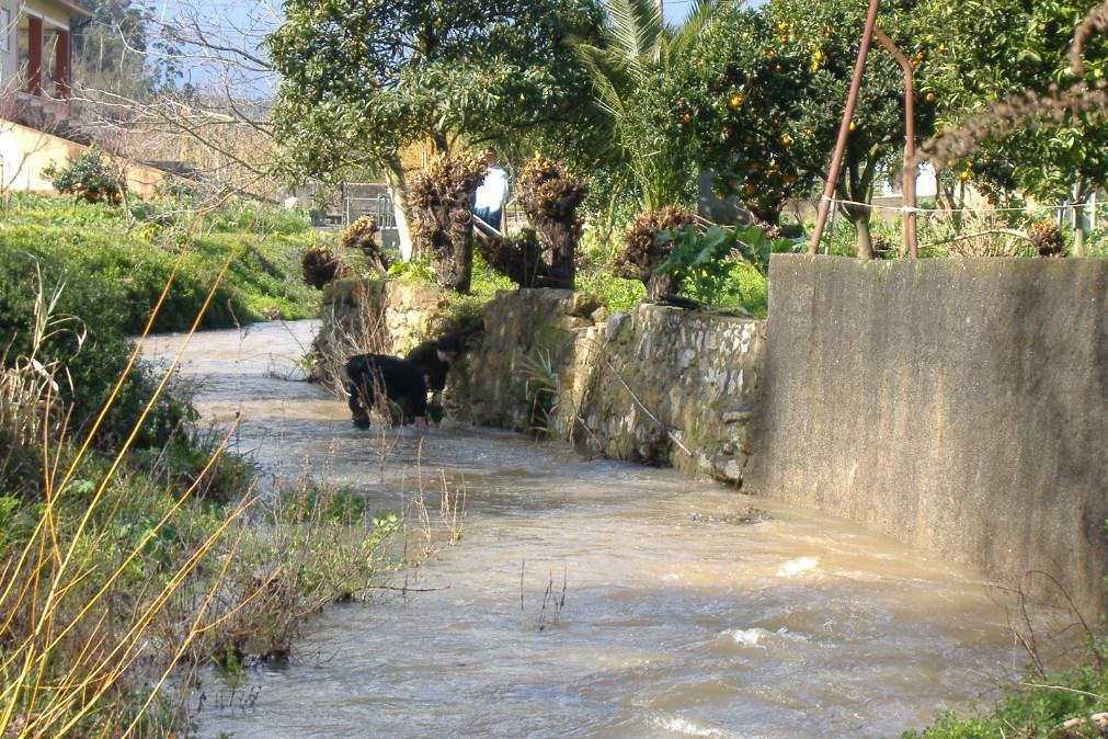 Como a ação humana está a afetar severamente rios e ribeiros à escala global