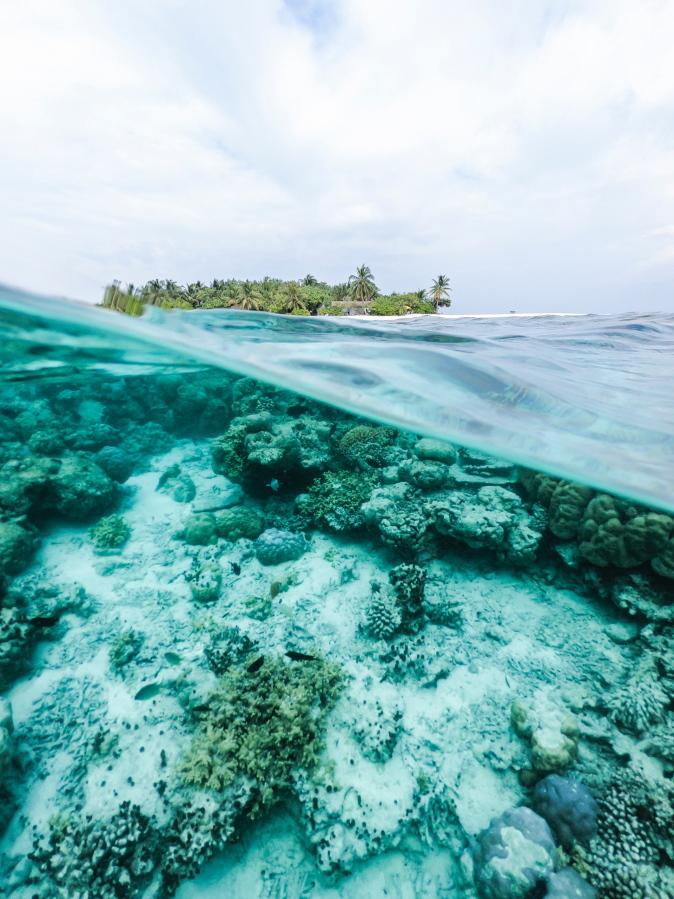 Os recifes de coral enfrentaram um aumento no stresse de fontes naturais no passado, mas a ação humana exacerbou alguns desses problemas