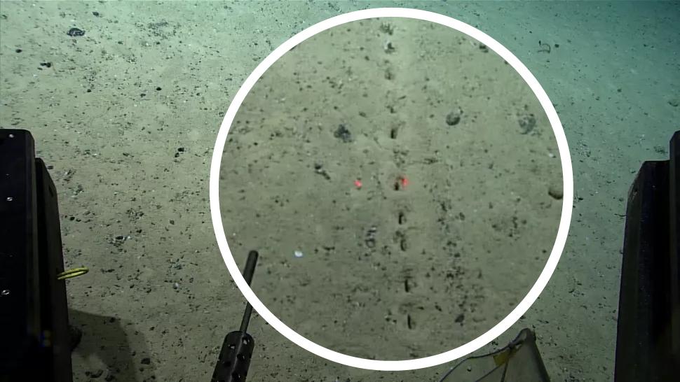 Estranhos buracos extraterrestres descobertos no fundo do oceano
