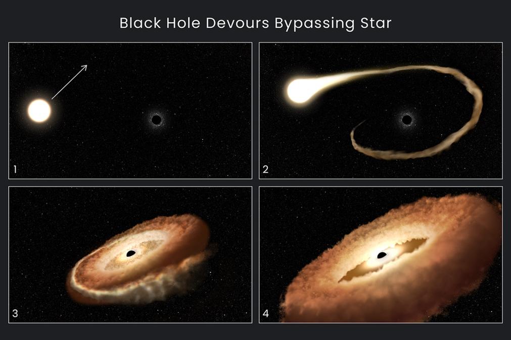 Esta sequência de ilustrações artísticas mostra como um buraco negro pode devorar uma estrela que passa por ele. 1. Uma estrela normal passa perto de um buraco negro supermassivo no centro de uma galáxia. 2. Os gases externos da estrela são atraídos para o campo gravitacional do buraco negro. 3. A estrela é retalhada à medida que as forças das marés a separam. 4. Os remanescentes estelares são puxados para um anel em forma de rosquinha ao redor do buraco negro e, eventualmente, cairão no buraco negro, liberando uma tremenda quantidade de luz e radiação de alta energia. Créditos: NASA, ESA, Leah Hustak (STScI)