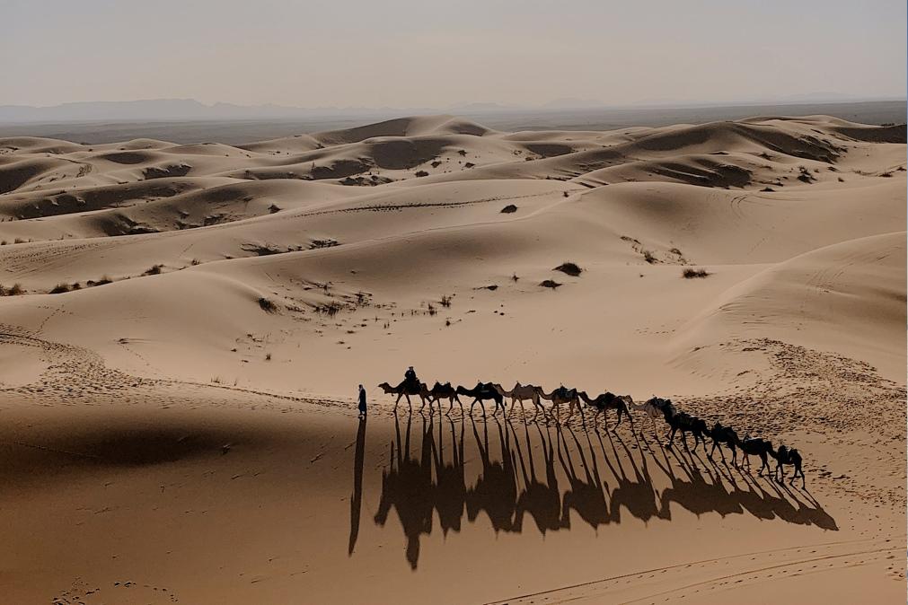 maior deserto do mundo
