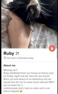 Dona encontra gata após criar perfis do animal no Tinder e no Grindr