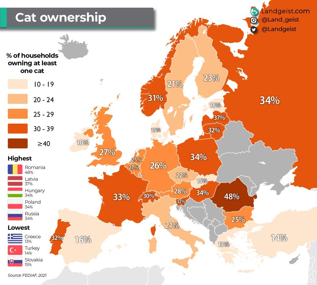 gatos em portugal e na europa