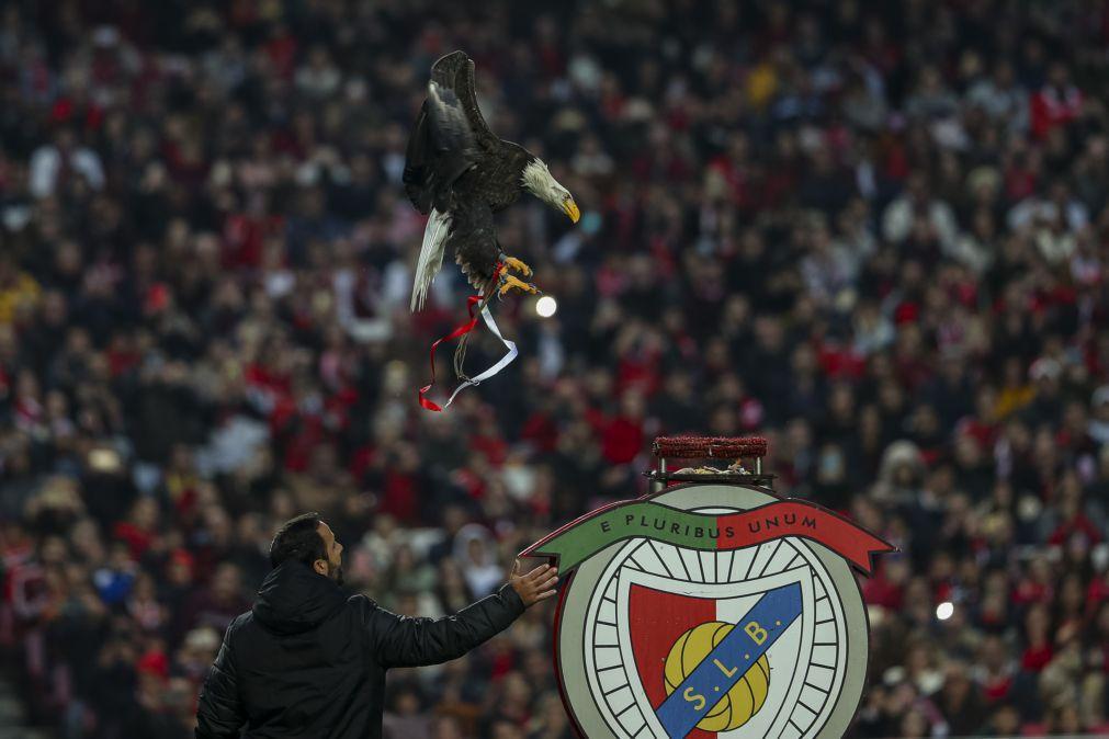 Benfica conquista bronze na Taça dos Campeões Europeus masculina de corta mato