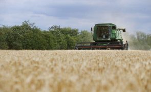Acordo com Bruxelas vai aumentar exportações agrícolas da Ucrânia -- ministro