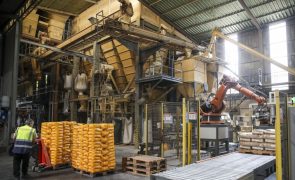 Setor das rações quer aumento da produção das matérias-primas para Portugal