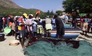 Cabo Verde quer estabilizar preços com mais uma ajuda alimentar do Japão de 1,4 ME