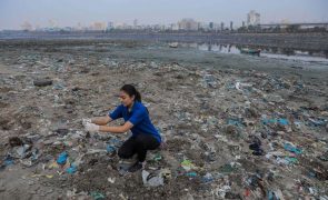 Índia proíbe alguns plásticos em plano de proteção ambiental