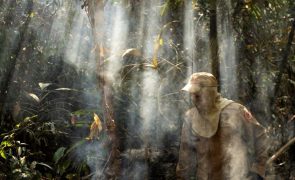Incêndios na Amazónia brasileira em junho atingem máximo de 15 anos