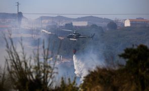 Incêndio em zona de mato de Sintra mobiliza 171 bombeiros e 4 meios aéreos