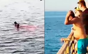 Vídeo mostra idosa a ser vítima ataque de tubarão [conteúdo sensível]
