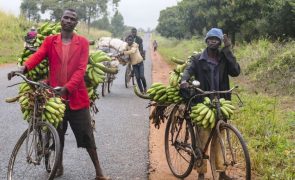 Inflação empurra vendedores de banana moçambicana para as bicicletas