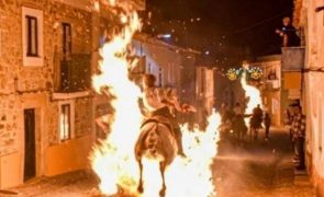 Cavalos obrigados a saltar sobre chamas em festa tradicional portuguesa