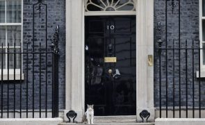 Primeiro-ministro britânico vai fazer hoje comunicação ao país