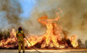 Seis distritos de Portugal continental em alerta laranja devido ao risco elevado de incêndio