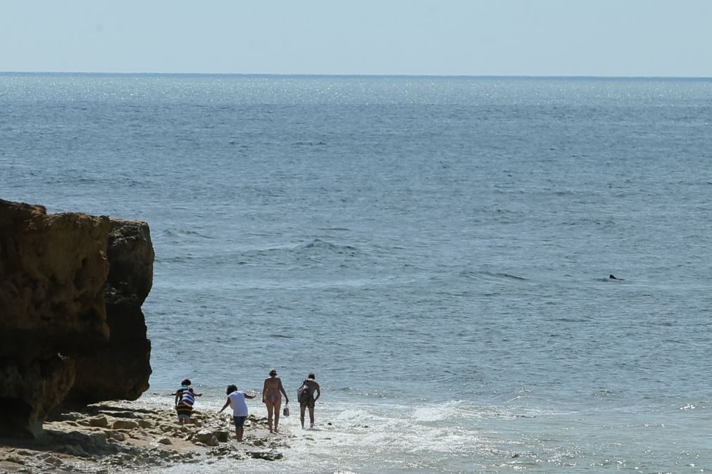 ALERTA | Cadáver encontrado junto a praia em Aveiro