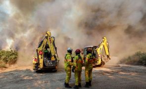 Três bombeiros feridos em acidente quando iam combater fogo em Leiria