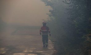 Falta de acessos dificulta combate ao incêndio em Carrazeda de Ansiães
