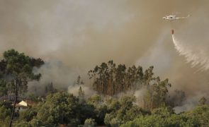 Governo declara situação de contingência devido a incêndios entre segunda e sexta-feira