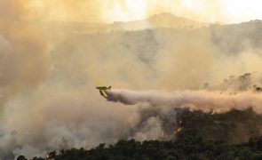 Autoridades espanholas alertam para calor e risco extremo de incêndios