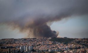 Dois novos fogos preocupantes em Sintra e Salvaterra de Magos - Proteção Civil
