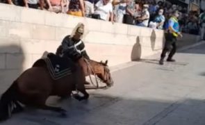PAN denuncia GNR de Coimbra por tratamento cruel a cavalos [vídeo]