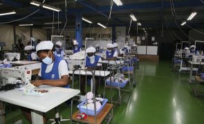 Cabo Verde com apoio de agência das Nações Unidas para desenvolver indústria