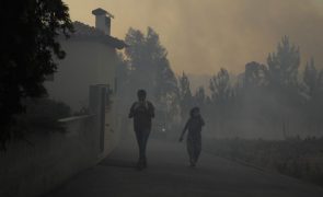 Fogos de Carrazeda de Ansiães, Pombal e Ourém queimaram mais de 6.300 hectares