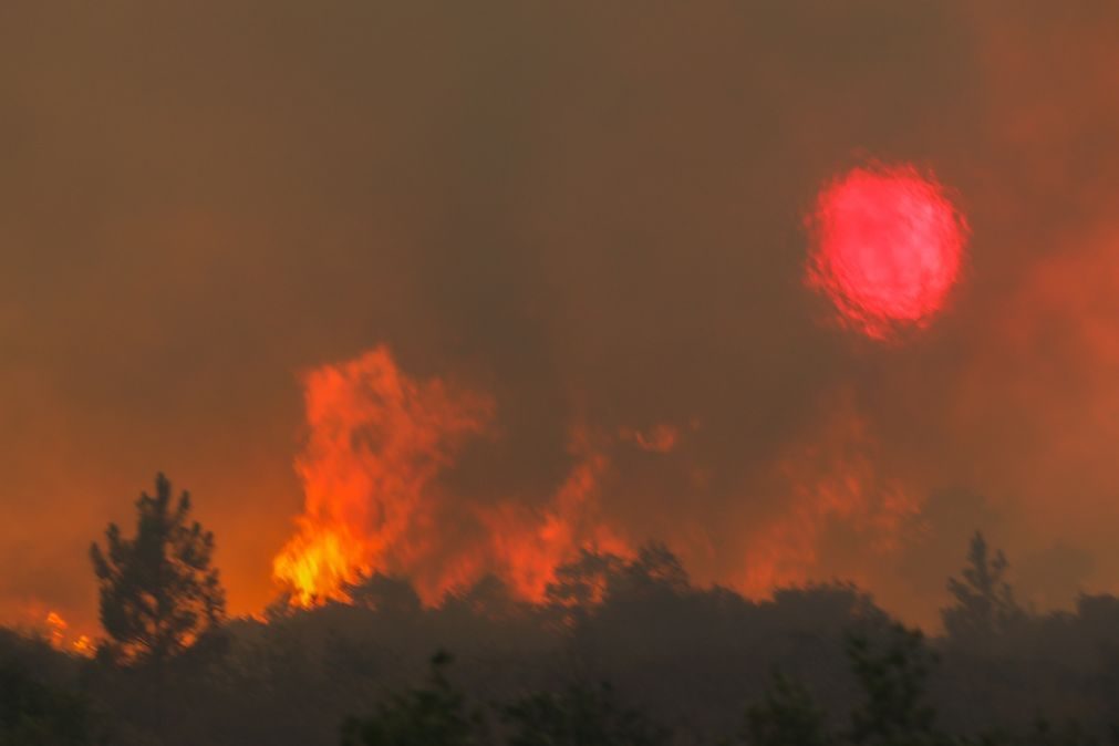 Quase todo o território do continente em perigo máximo e muito elevado de incêndio