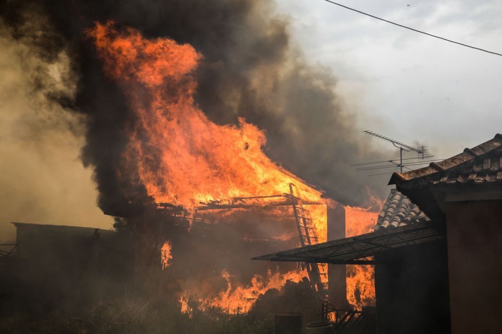 Mais de 1.100 bombeiros combatem quatro incêndios nos distritos de Santarém e Leiria