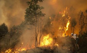 Cerca de 300 pessoas retiradas devido a fogo na Freixianda no concelho de Ourém