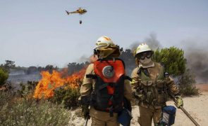 Incêndio em Faro parcialmente dominado obriga à retirada de pessoas da Quinta do Lago