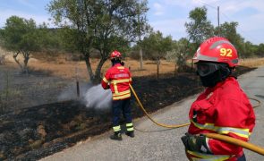 Incêndios: Fogo em Oliveira de Azeméis escalou para 219 operacionais