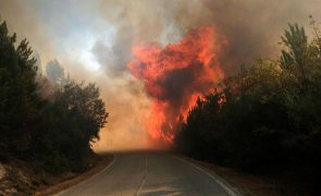Dominado fogo depois de ter destruído 290 hectares de floresta em Mangualde