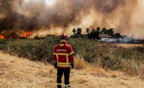 Incêndio em Faro dominado em 80% e com 20% 
