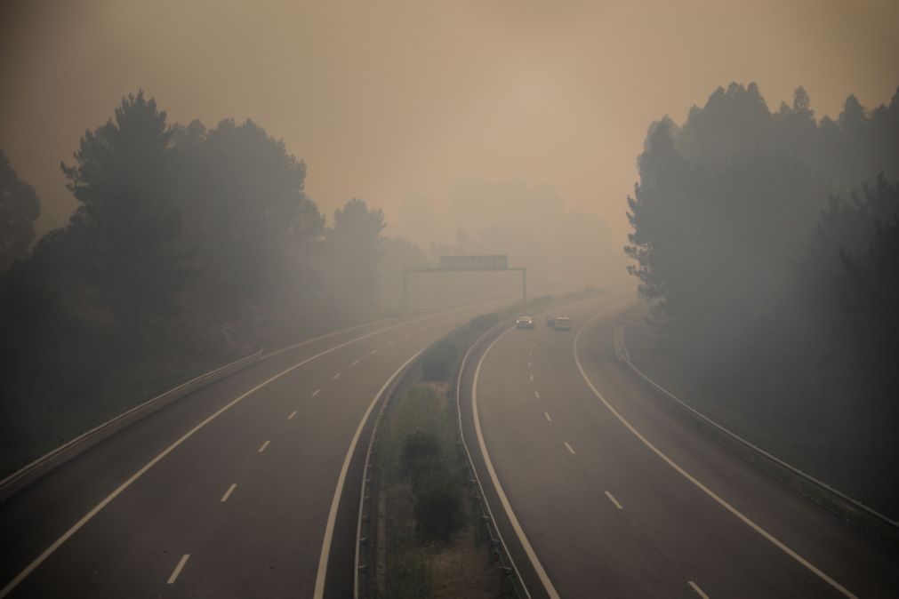 A1 e A29 reabertas após corte devido a fogo em Estarreja e Albergaria-a-Velha