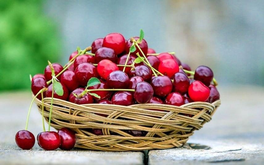 5 bons motivos para comer cerejas no verão