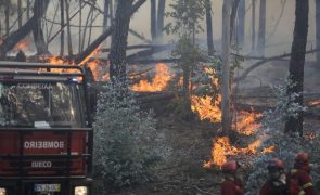 Três famílias desalojadas e um bombeiro ferido no fogo em Alvaiázere