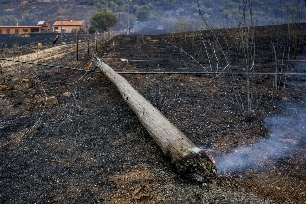 Homem detido por suspeita de incêndio florestal no Pinhal Novo