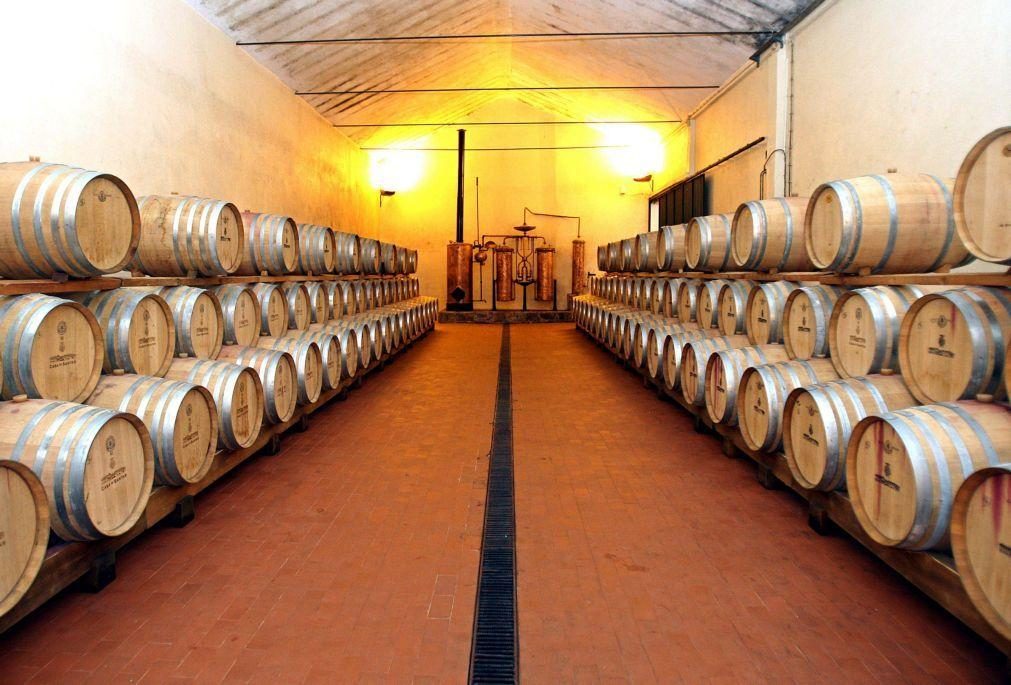 Douro vai transformar 116 mil pipas de vinho do Porto nesta vindima