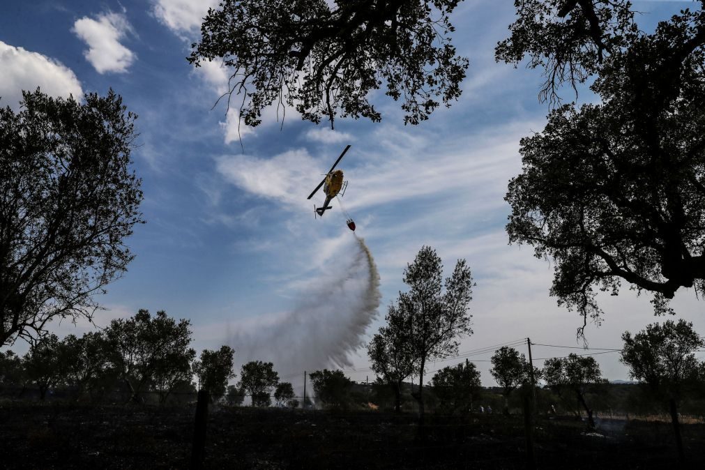 Incêndio que deflagrou em Oliveira de Azeméis está dominado